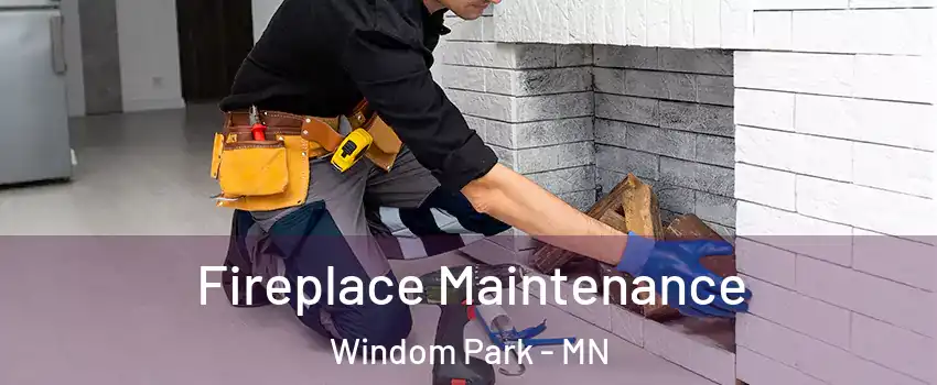 Fireplace Maintenance Windom Park - MN