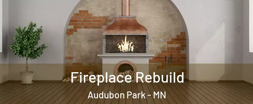 Fireplace Rebuild Audubon Park - MN