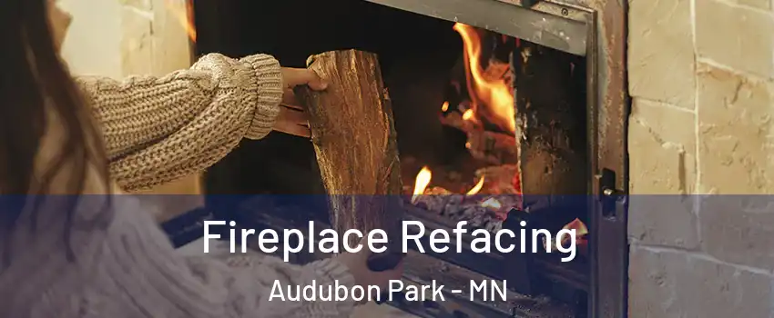 Fireplace Refacing Audubon Park - MN