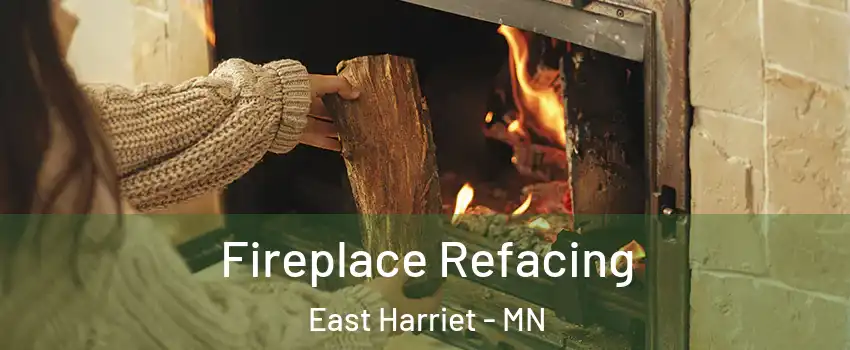 Fireplace Refacing East Harriet - MN