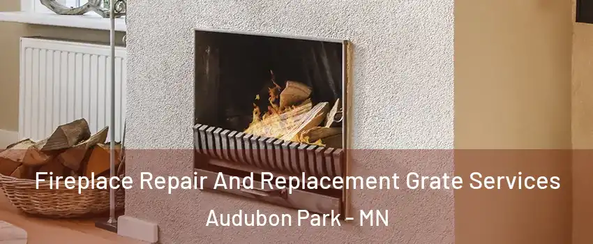 Fireplace Repair And Replacement Grate Services Audubon Park - MN