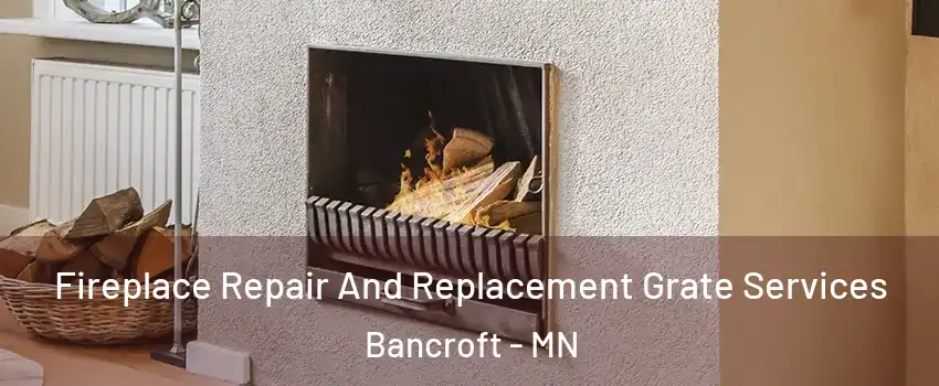 Fireplace Repair And Replacement Grate Services Bancroft - MN