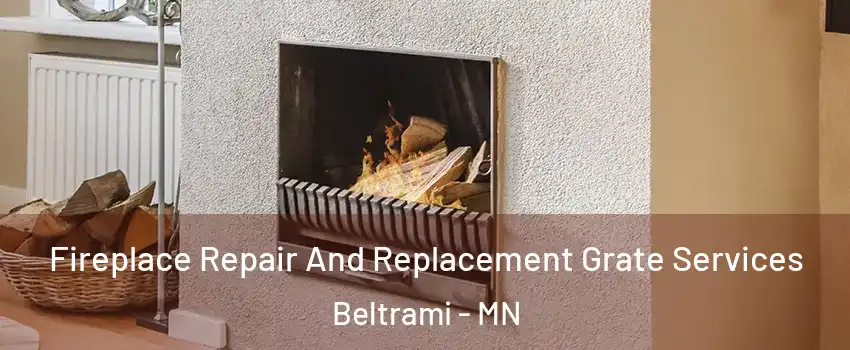 Fireplace Repair And Replacement Grate Services Beltrami - MN