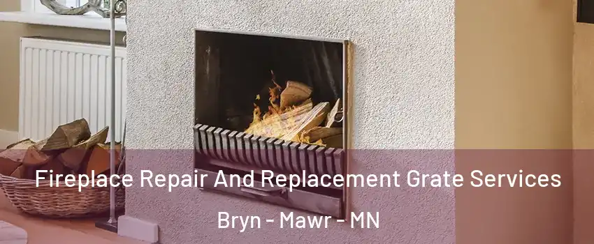 Fireplace Repair And Replacement Grate Services Bryn - Mawr - MN