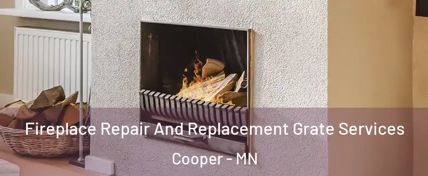 Fireplace Repair And Replacement Grate Services Cooper - MN