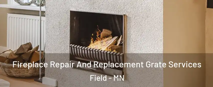 Fireplace Repair And Replacement Grate Services Field - MN