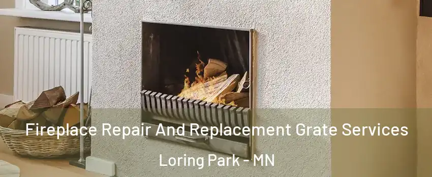 Fireplace Repair And Replacement Grate Services Loring Park - MN