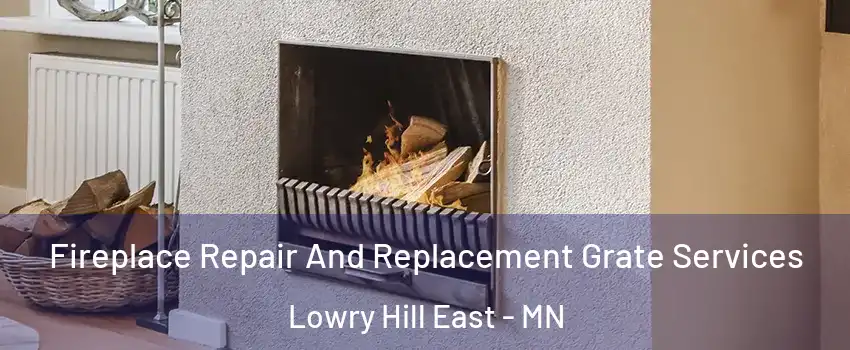 Fireplace Repair And Replacement Grate Services Lowry Hill East - MN