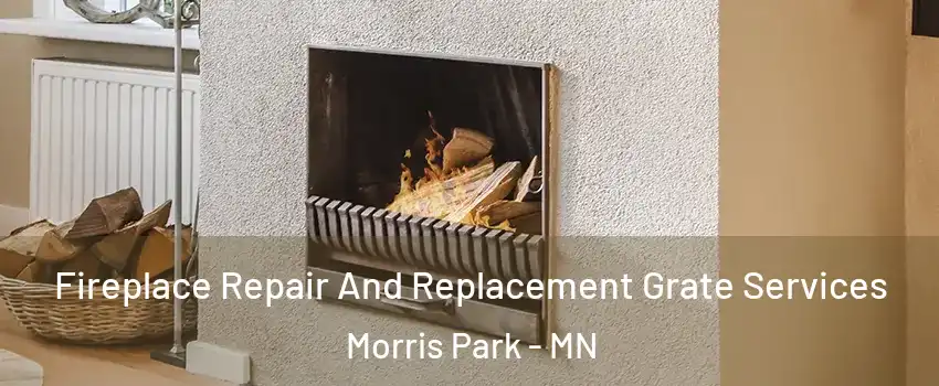 Fireplace Repair And Replacement Grate Services Morris Park - MN