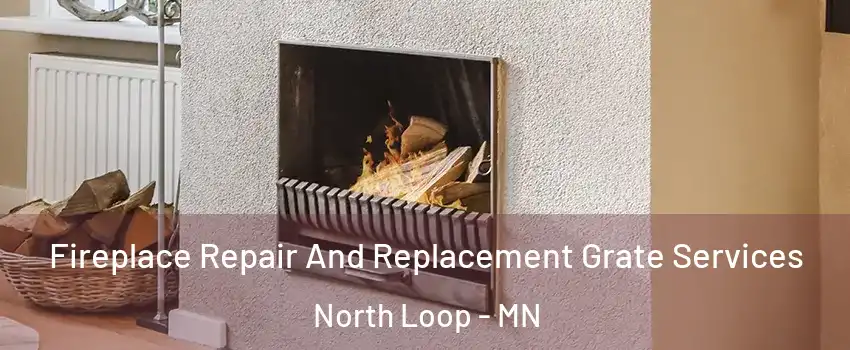 Fireplace Repair And Replacement Grate Services North Loop - MN