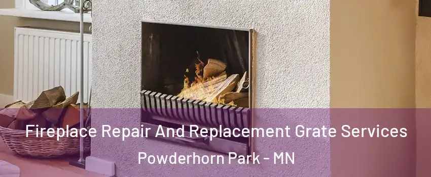 Fireplace Repair And Replacement Grate Services Powderhorn Park - MN