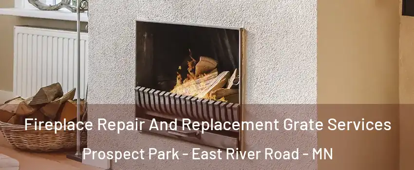 Fireplace Repair And Replacement Grate Services Prospect Park - East River Road - MN