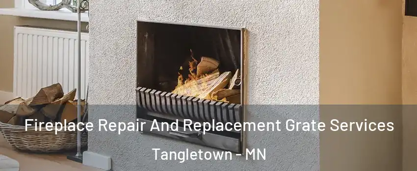 Fireplace Repair And Replacement Grate Services Tangletown - MN
