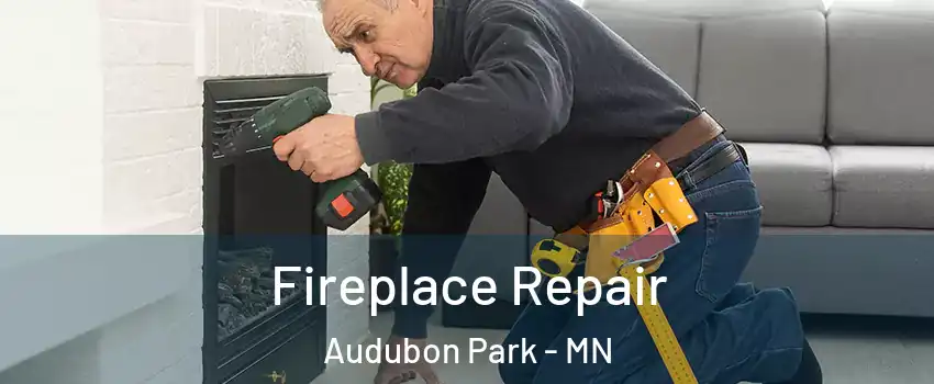 Fireplace Repair Audubon Park - MN