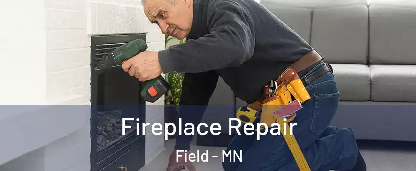 Fireplace Repair Field - MN