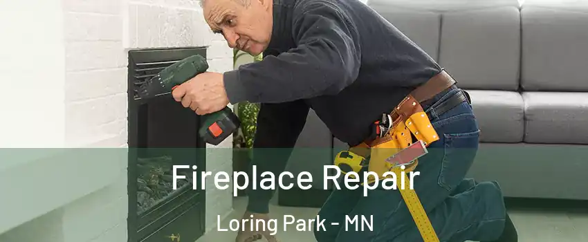 Fireplace Repair Loring Park - MN