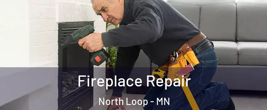 Fireplace Repair North Loop - MN