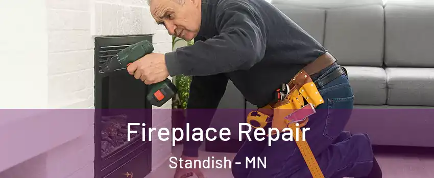 Fireplace Repair Standish - MN