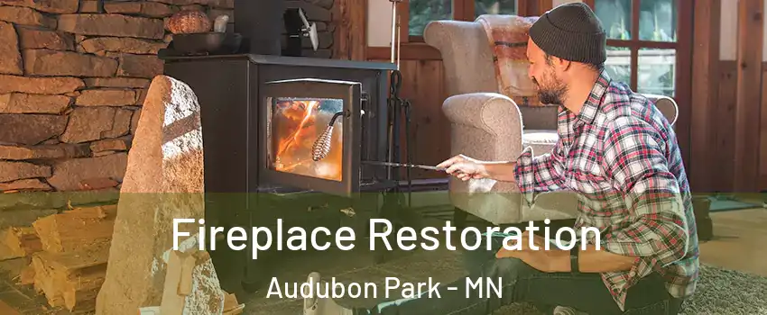 Fireplace Restoration Audubon Park - MN