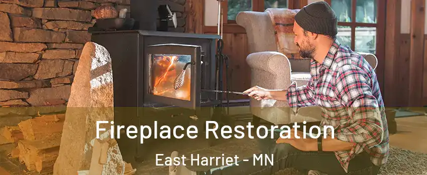 Fireplace Restoration East Harriet - MN