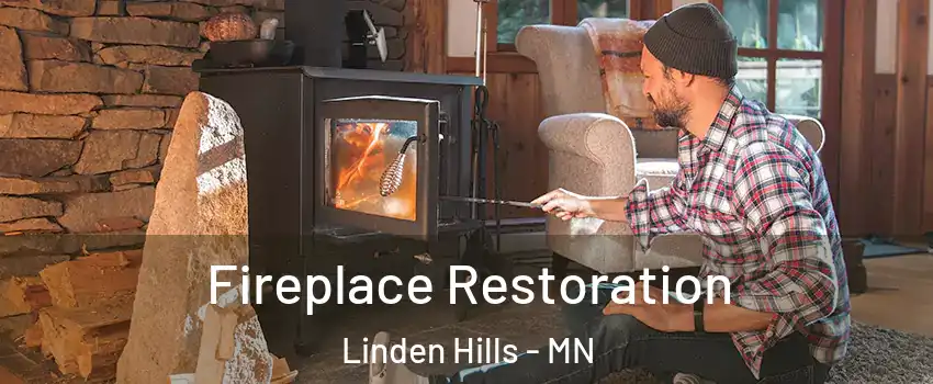 Fireplace Restoration Linden Hills - MN