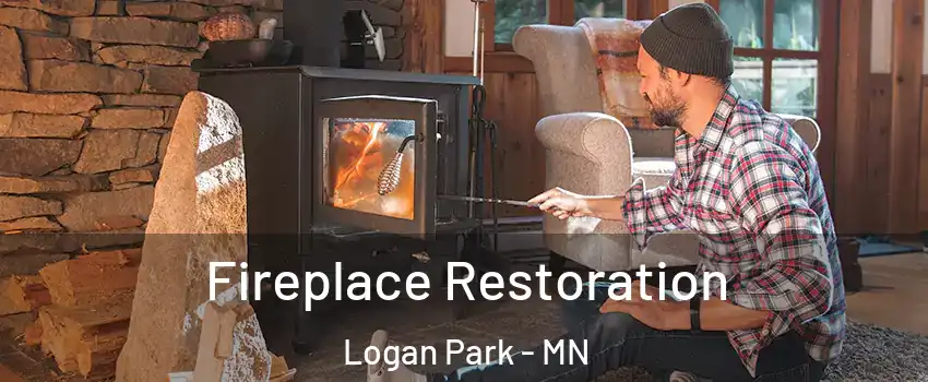 Fireplace Restoration Logan Park - MN
