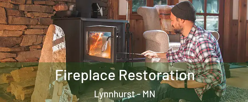 Fireplace Restoration Lynnhurst - MN