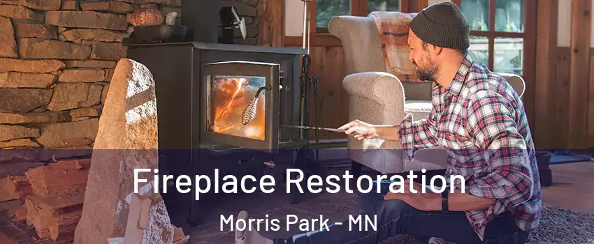 Fireplace Restoration Morris Park - MN