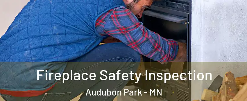 Fireplace Safety Inspection Audubon Park - MN