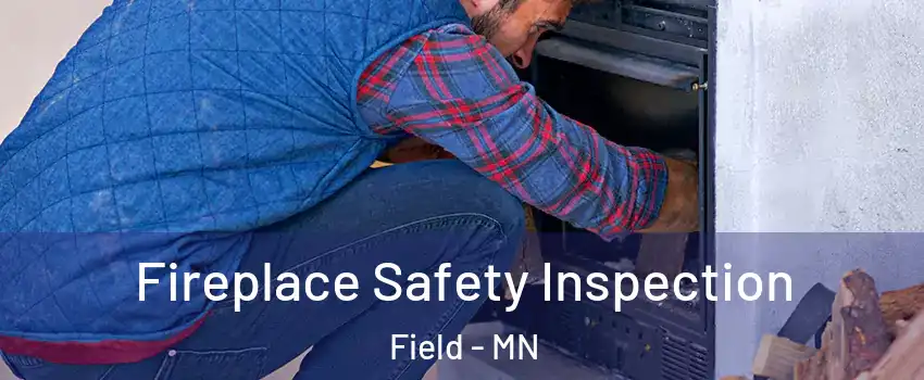 Fireplace Safety Inspection Field - MN