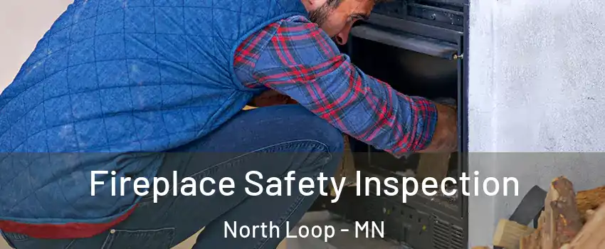 Fireplace Safety Inspection North Loop - MN