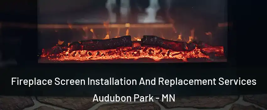 Fireplace Screen Installation And Replacement Services Audubon Park - MN