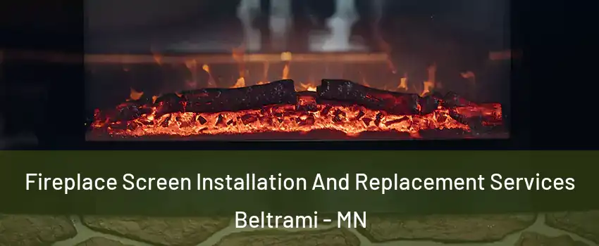 Fireplace Screen Installation And Replacement Services Beltrami - MN
