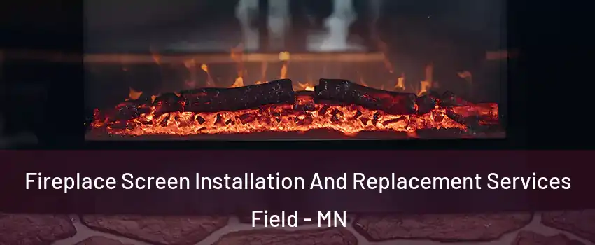 Fireplace Screen Installation And Replacement Services Field - MN