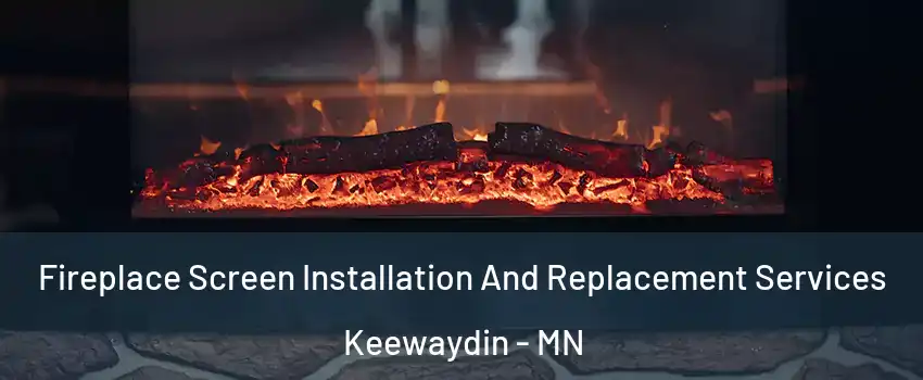 Fireplace Screen Installation And Replacement Services Keewaydin - MN