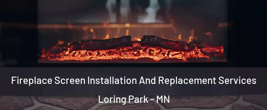 Fireplace Screen Installation And Replacement Services Loring Park - MN