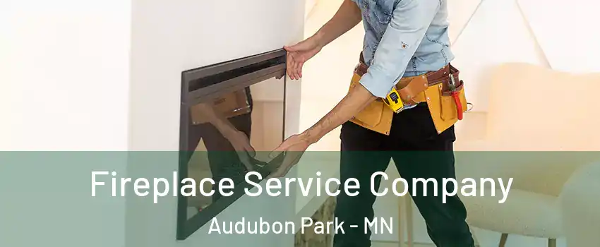 Fireplace Service Company Audubon Park - MN