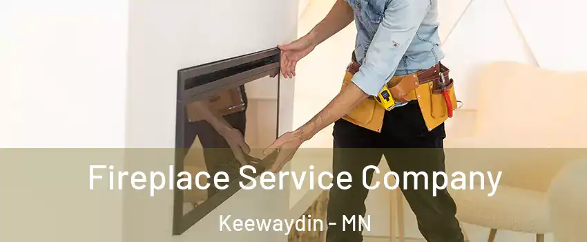 Fireplace Service Company Keewaydin - MN