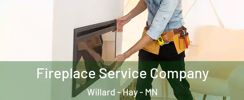 Fireplace Service Company Willard - Hay - MN