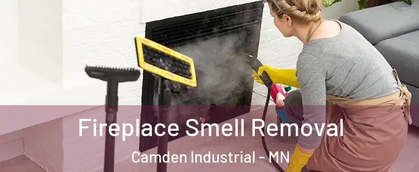 Fireplace Smell Removal Camden Industrial - MN