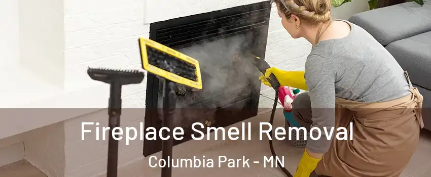 Fireplace Smell Removal Columbia Park - MN
