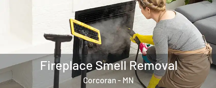 Fireplace Smell Removal Corcoran - MN