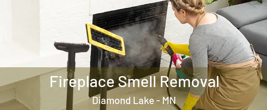 Fireplace Smell Removal Diamond Lake - MN