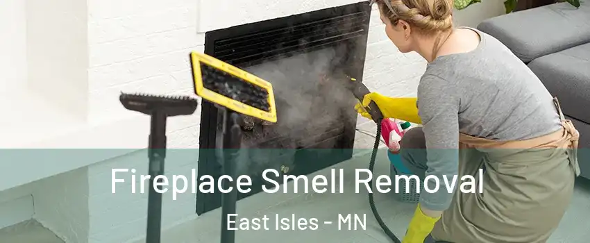 Fireplace Smell Removal East Isles - MN