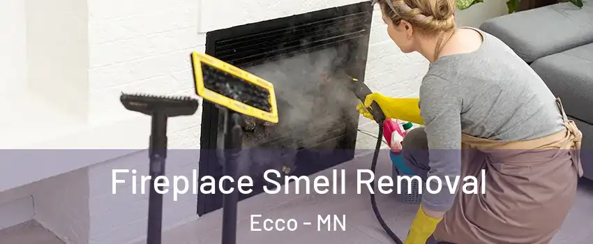Fireplace Smell Removal Ecco - MN