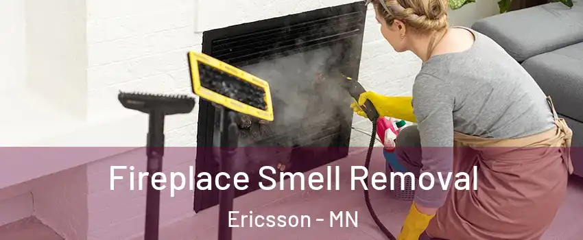 Fireplace Smell Removal Ericsson - MN