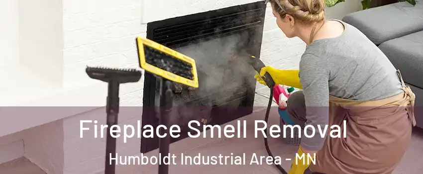 Fireplace Smell Removal Humboldt Industrial Area - MN