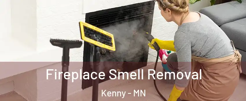 Fireplace Smell Removal Kenny - MN