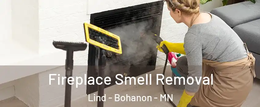 Fireplace Smell Removal Lind - Bohanon - MN
