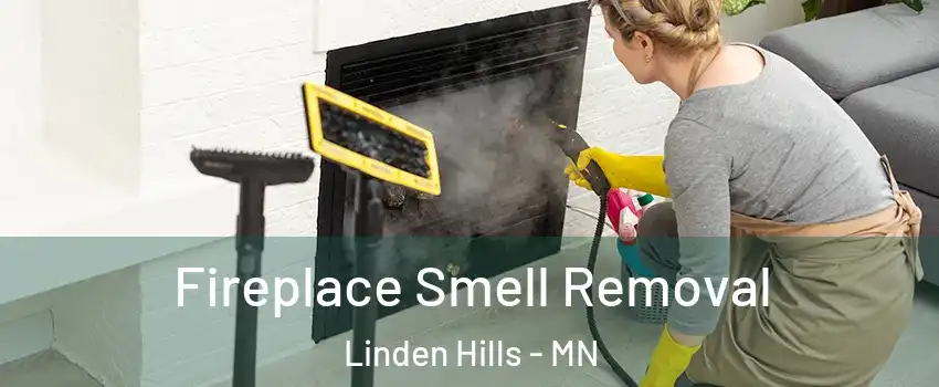 Fireplace Smell Removal Linden Hills - MN